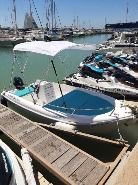 estable 400 alquiler alessmar 01 (4)