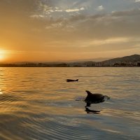 barcos y motos de agua en Alcossebre
